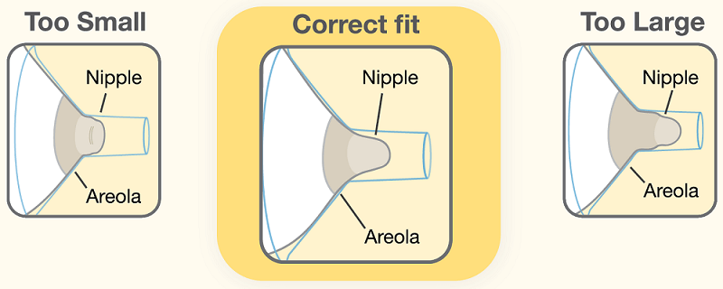 Guía de Medela para encontrar el tamaño correcto del protector de senos